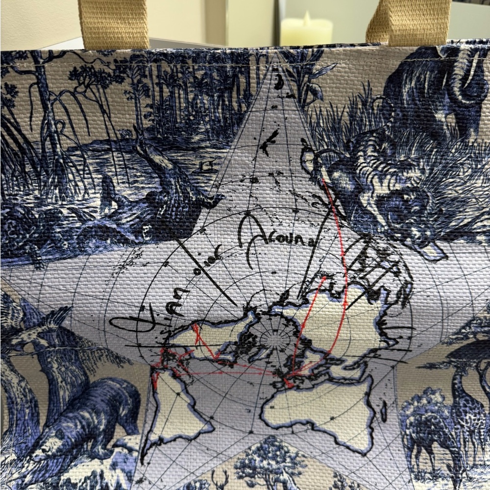 Dior Around The World GIP/VIP TOTE Bag